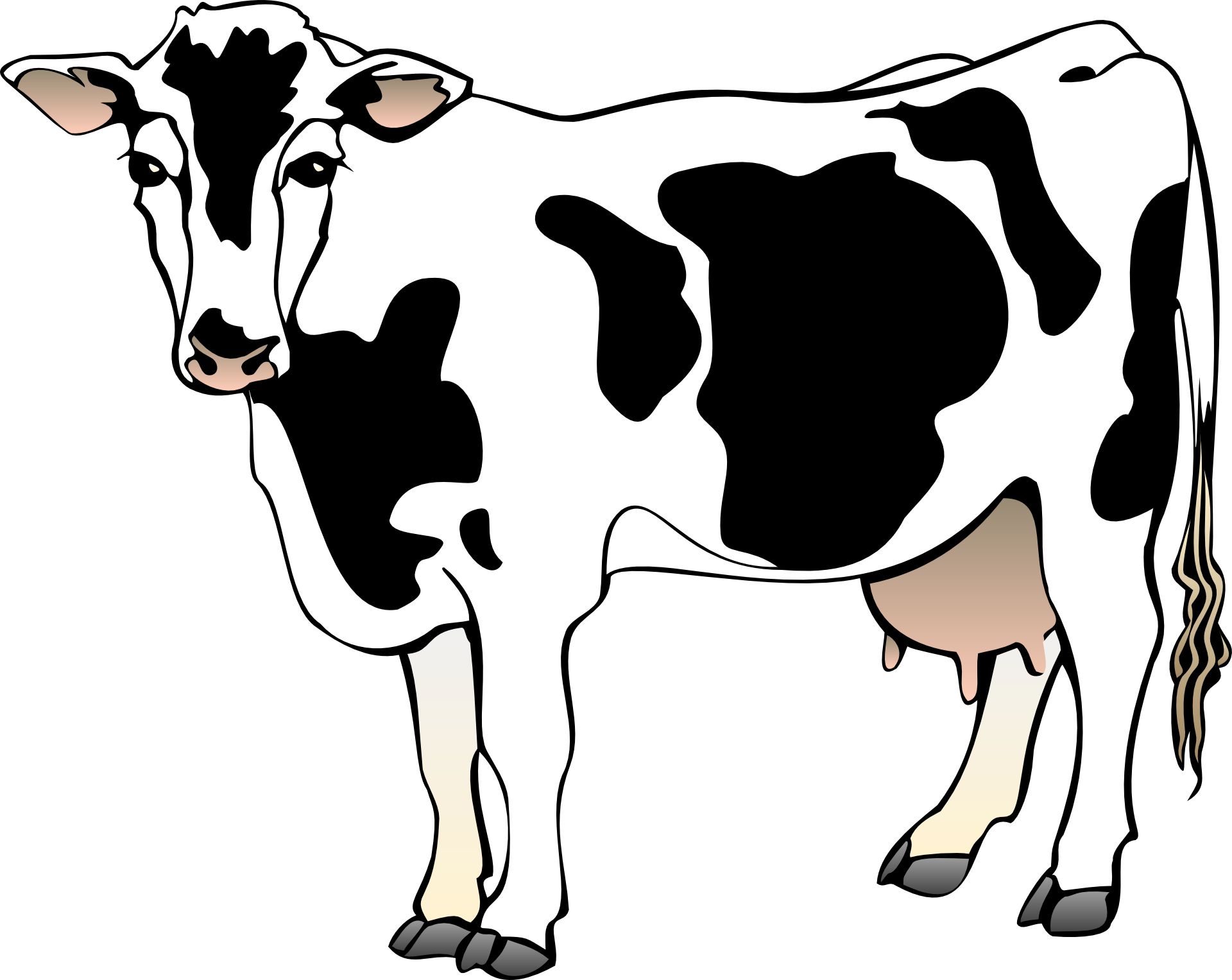 Cow vectorcartoon animal.
