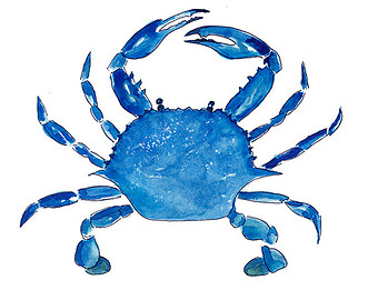 Image of blue crab clipart