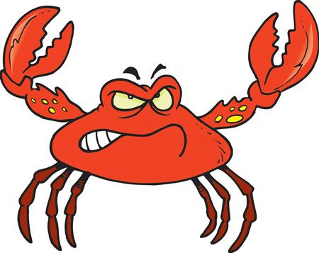 Funny pictures of crabs