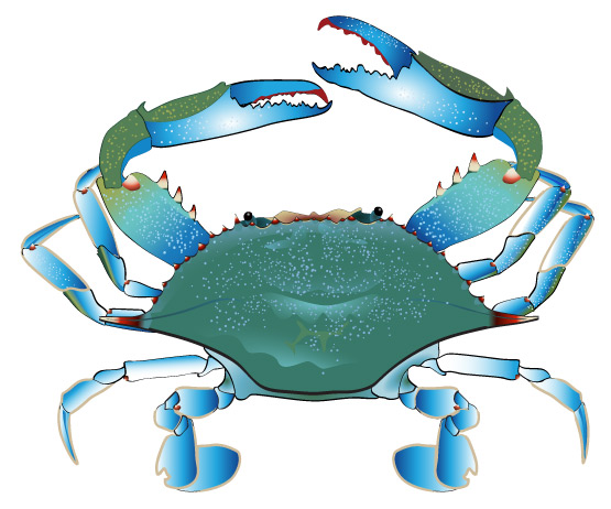 Free Pink Crab Cliparts, Download Free Clip Art, Free Clip