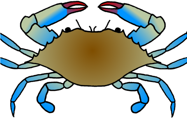 Marina Clipart Crab Drawing