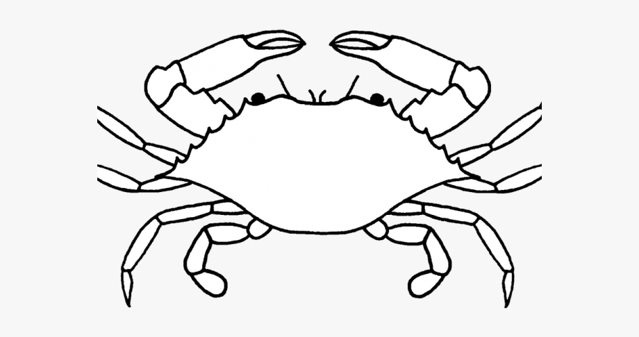 Crustacean Clipart Crab Drawing
