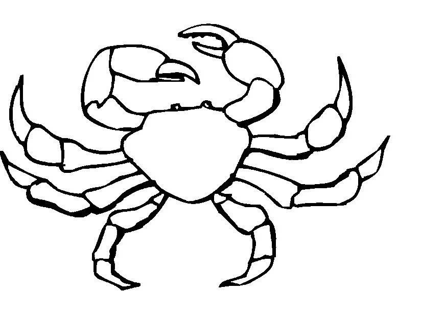 crab clipart outline
