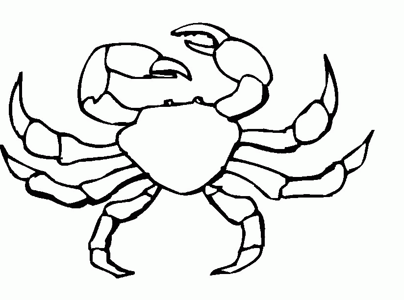 Free Crab Pictures To Print, Download Free Clip Art, Free