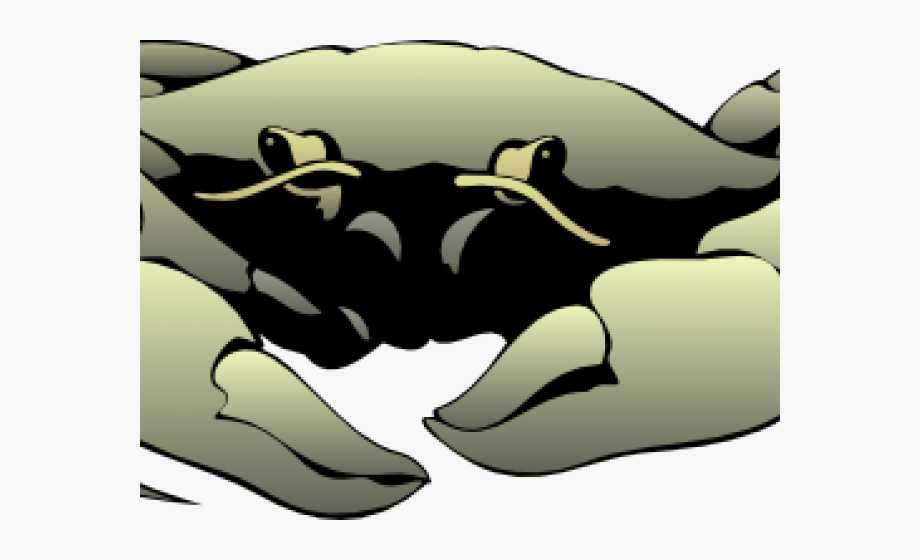 Hermit Crab Clipart Realistic , Transparent Cartoon, Free