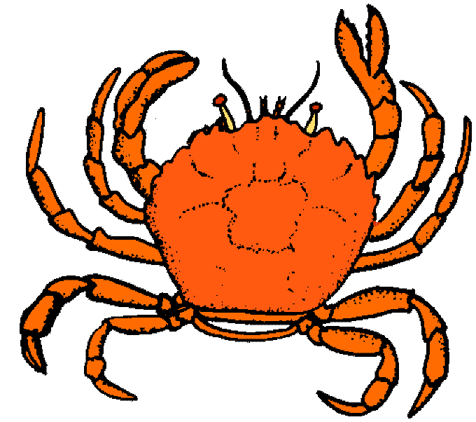 Free Crab Clipart Pictures
