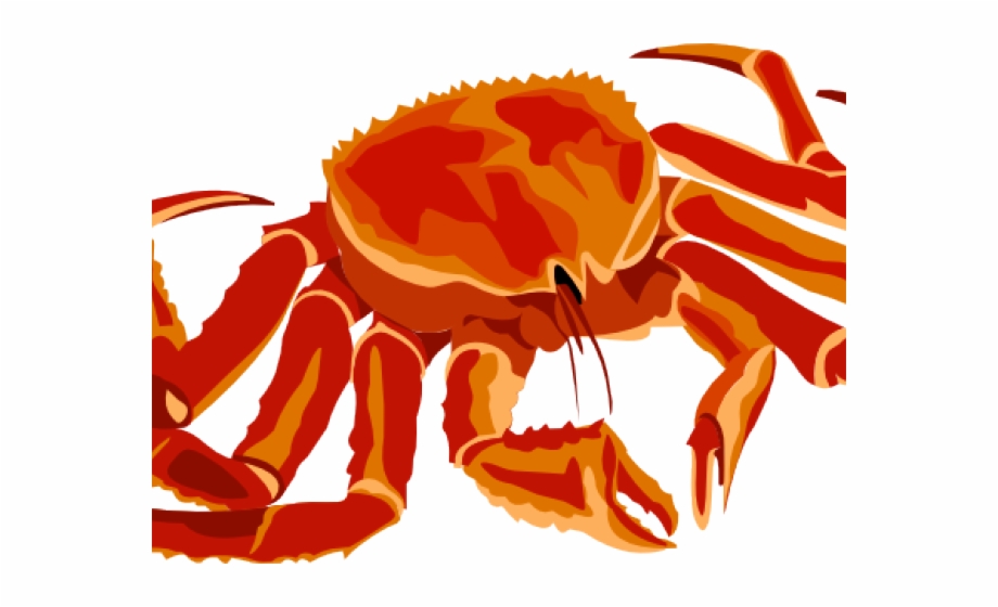 Seafood clipart spider.