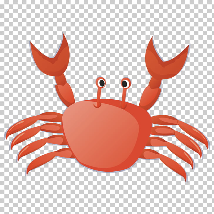 Crab Cangrejo , Meng Meng da small crabs, red crab PNG