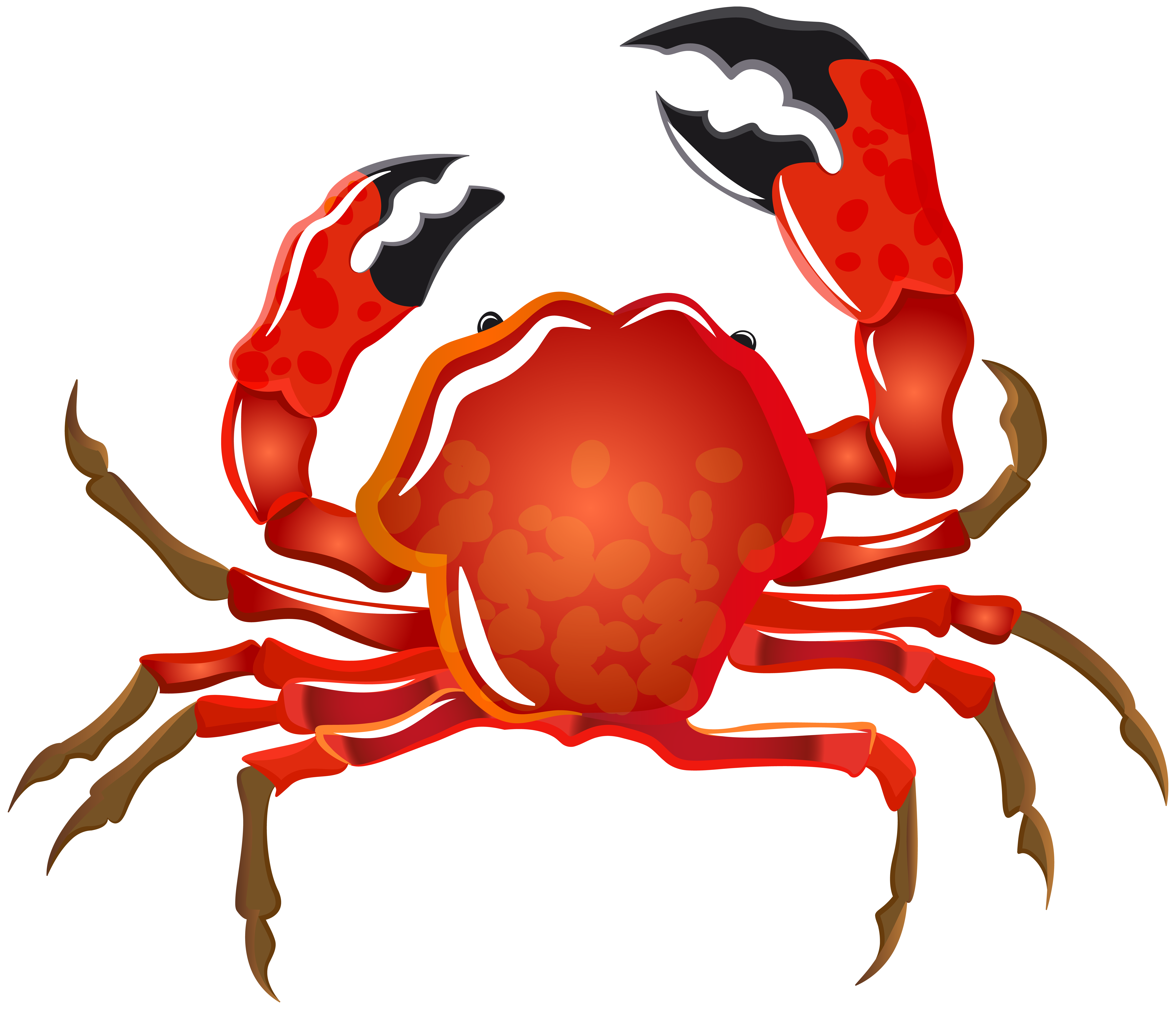 Crab transparent png.