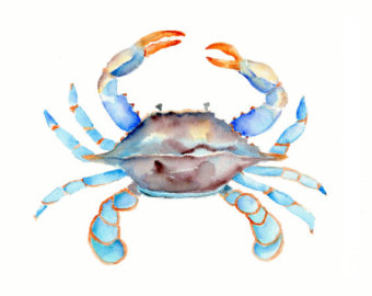 Blue crab watercolor.
