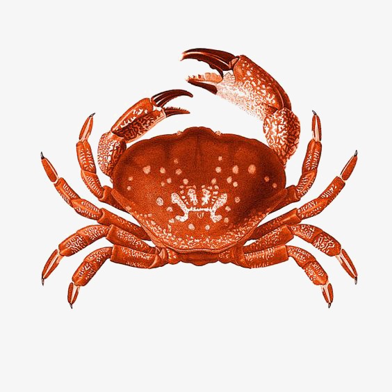 Download Free png Watercolor Crab, Seafood, Crab, Crabs PNG