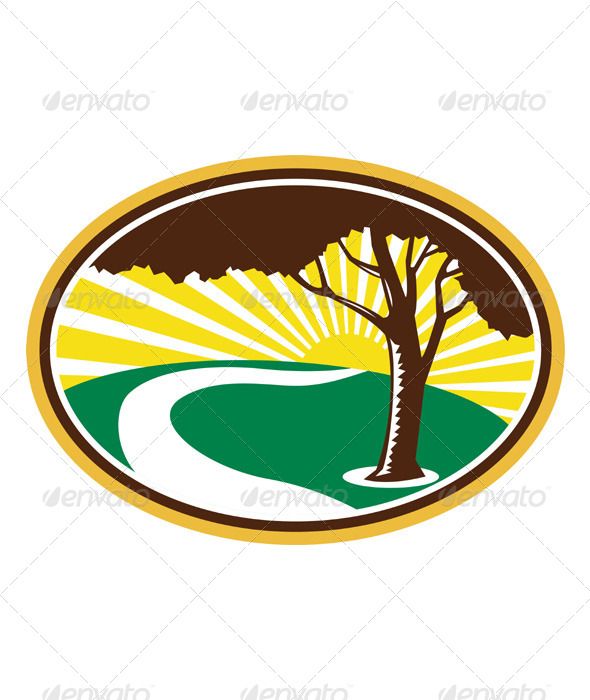 Illustration of a pecan tree silhouette with winding river