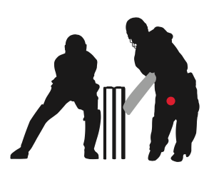 cricket clipart all rounder