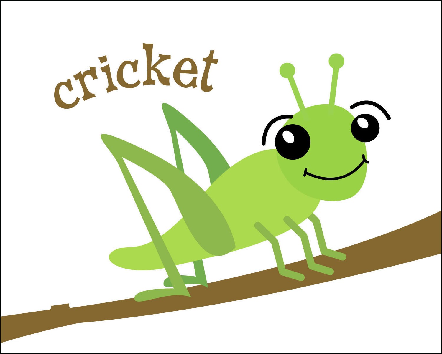 Free cricket insect.