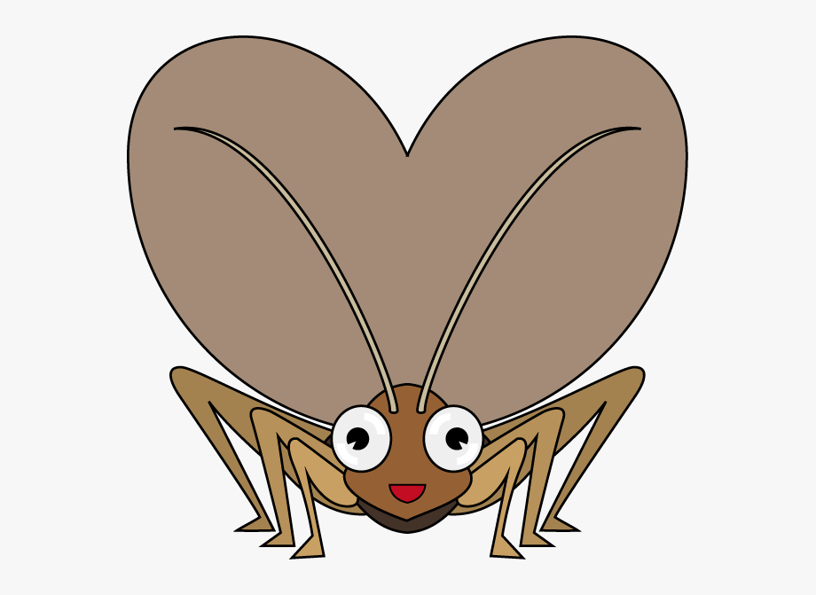 Cricket Insect Clipart