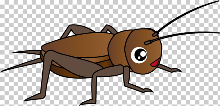 cricket clipart brown