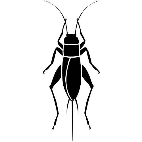 Black Cricket Insect Clipart