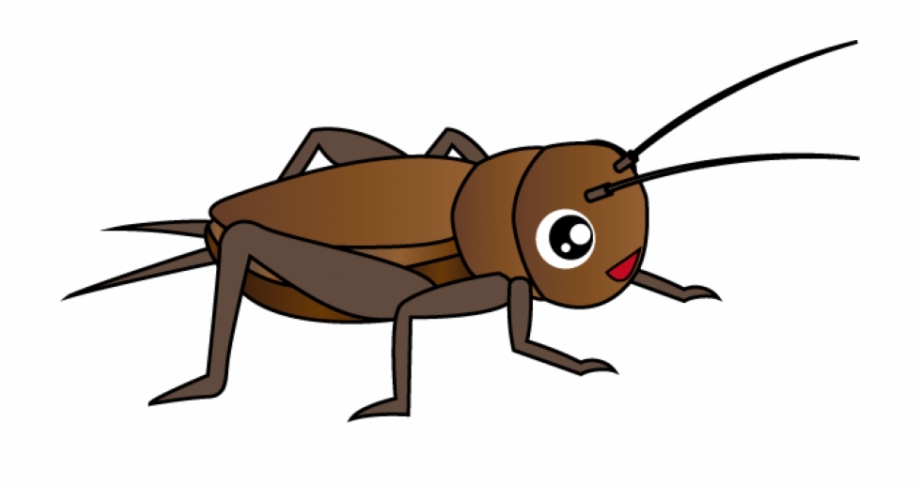 cricket clipart bug