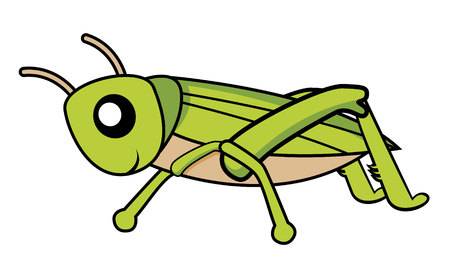 Cricket clipart insect
