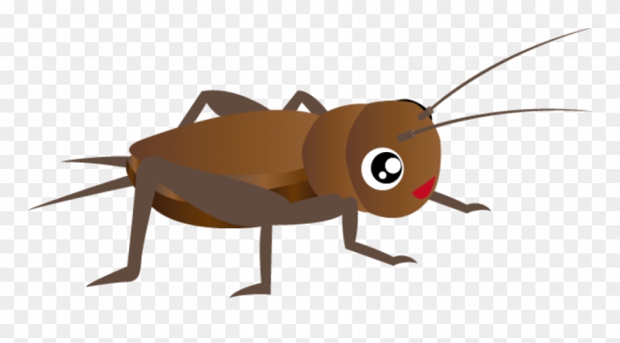 Free Cricket Insect Clipart Images Transparent Png
