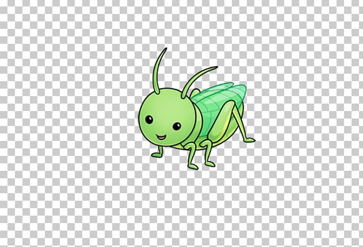 Grasshopper Insect Cricket Cuteness PNG, Clipart, Animals