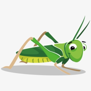 Grasshopper clipart getdrawings.