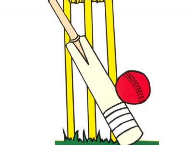 Action clipart cricket.