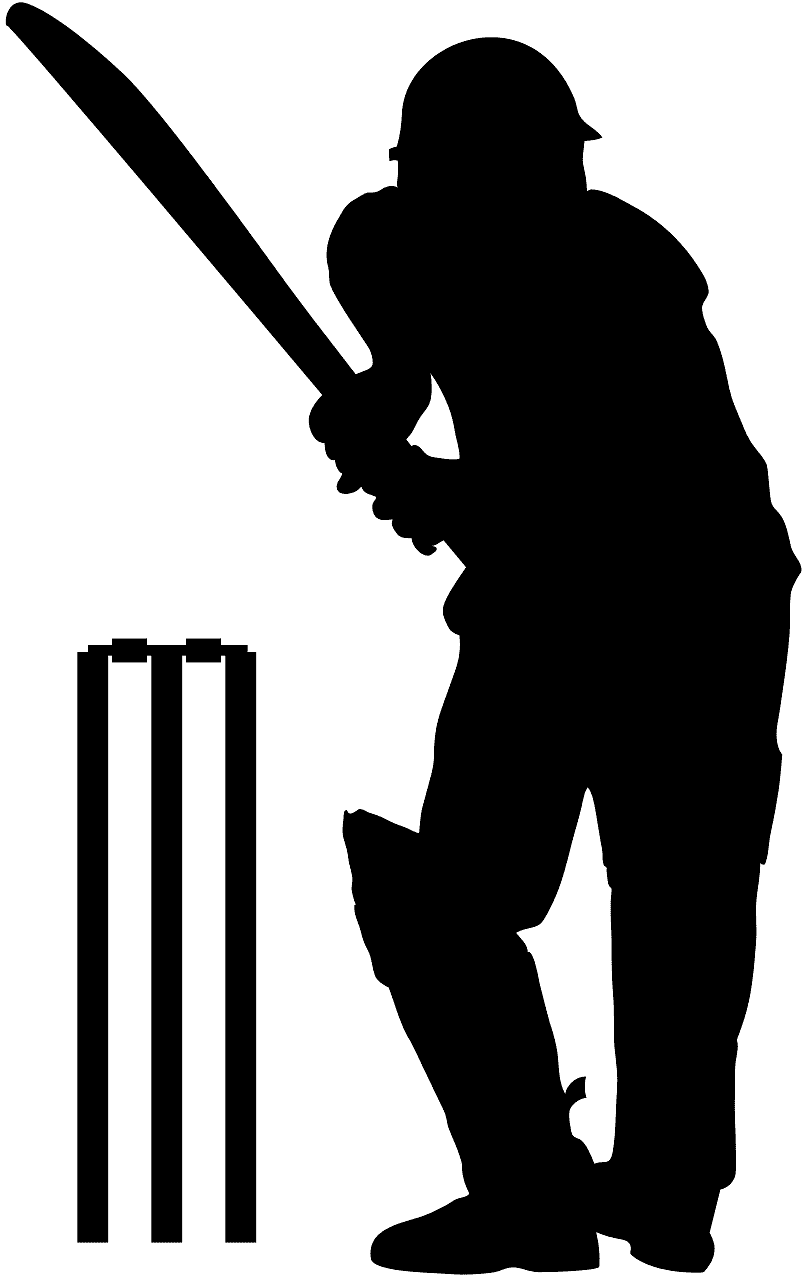 Cricket player silhouette.