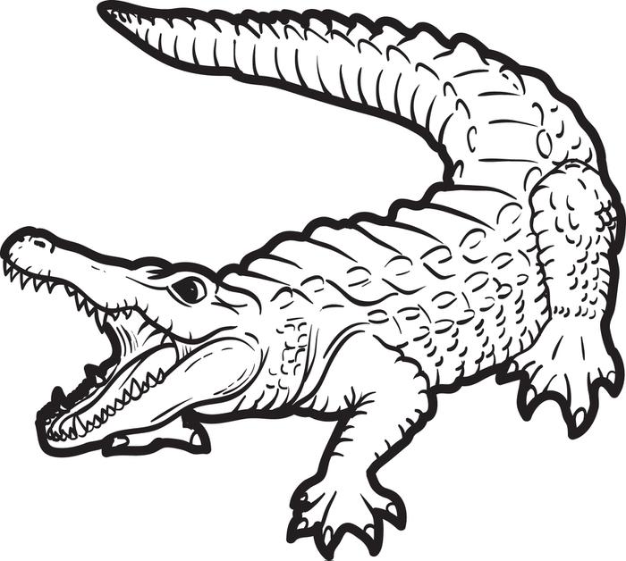 crocodile clipart black and white