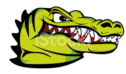 Crocodile head agressive.