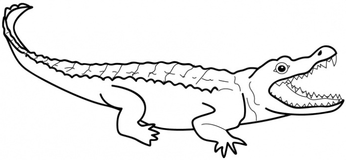 crocodile clipart outline