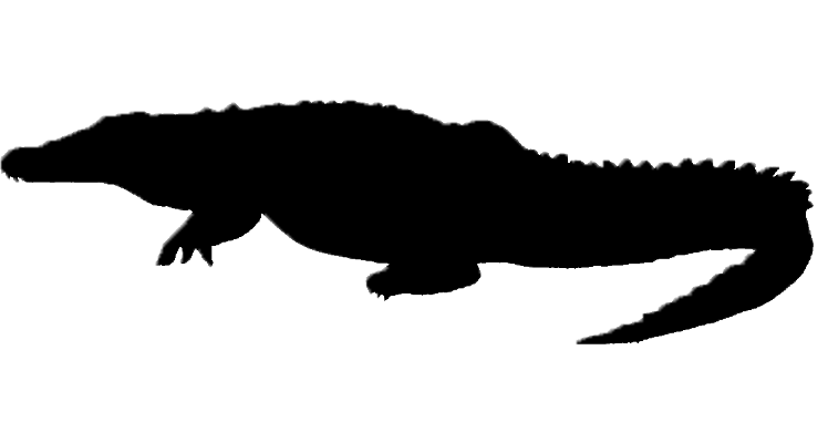 Crocodile alligator silhouette.