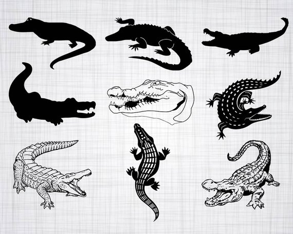 Crocodile SVG Bundle, Alligator SVG, Alligator Clipart, Cut