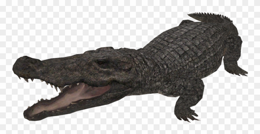 Snap Mugger Crocodile Creatures Of The World Wikia Clipart