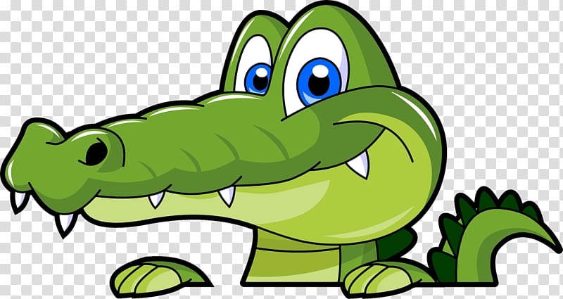 Alligator Crocodile Drawing Cartoon , crocodile transparent