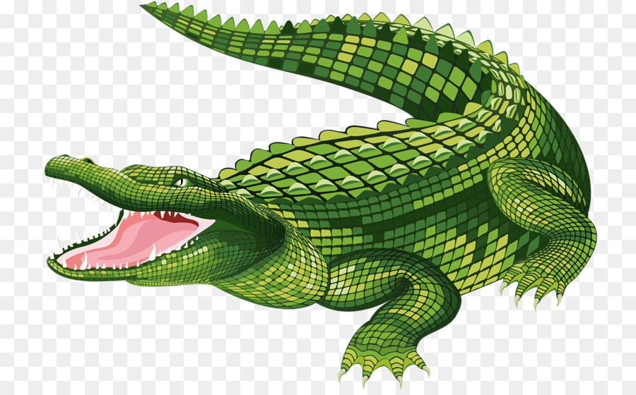 Alligator cartoon.