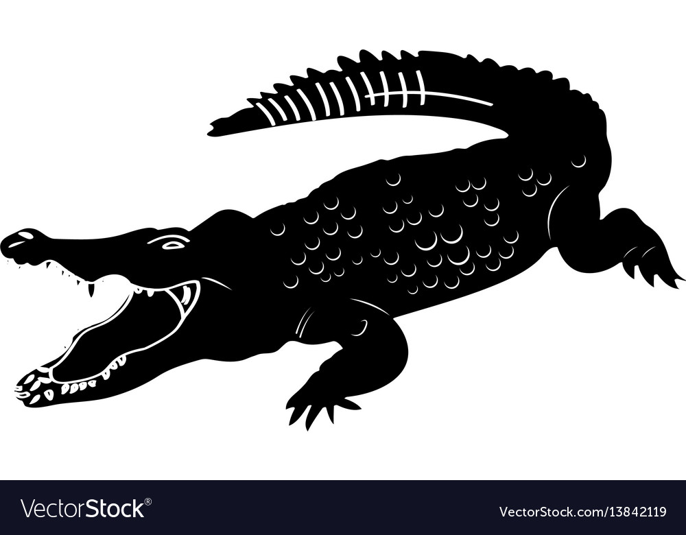 Isolated crocodile silhouette.