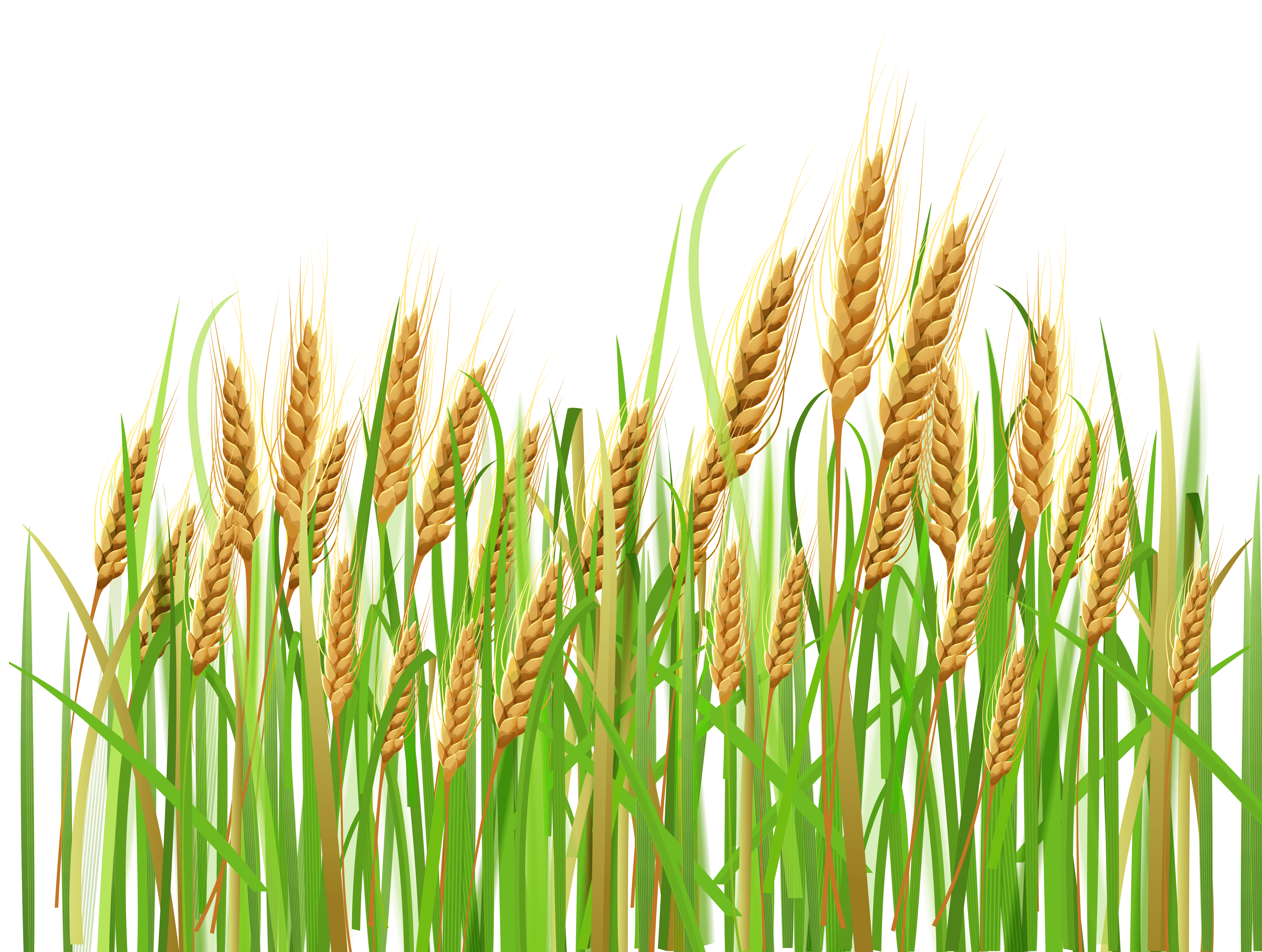 Free Agriculture Crop Cliparts, Download Free Clip Art, Free