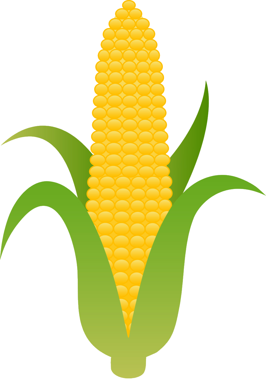 Crops clipart ear corn, Crops ear corn Transparent FREE for