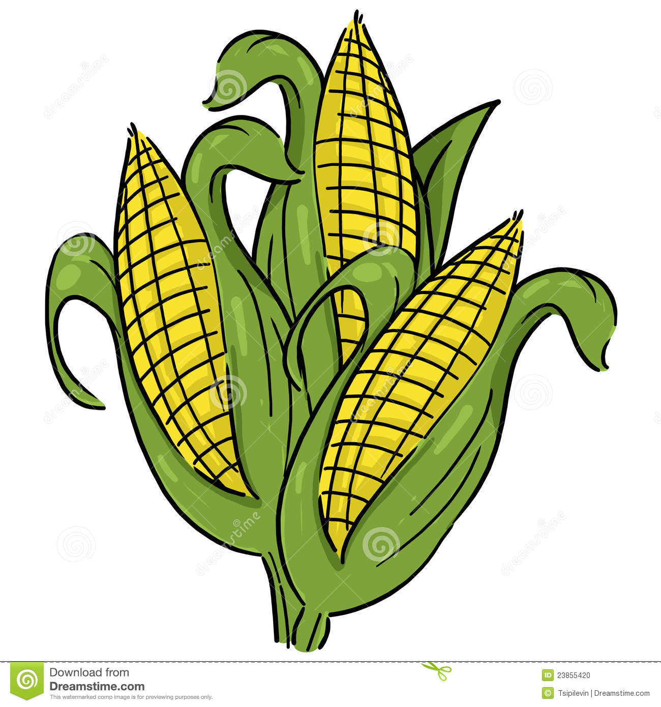 crops clipart corn