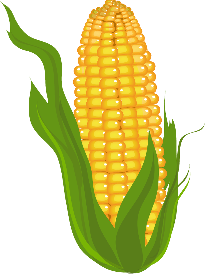 Crops clipart roasted.