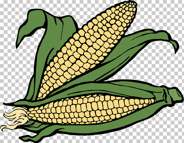 Crop Farm Agriculture , Ear Of Corn PNG clipart