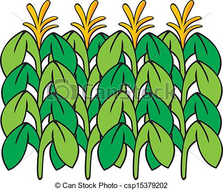 Collection of Cornfield clipart