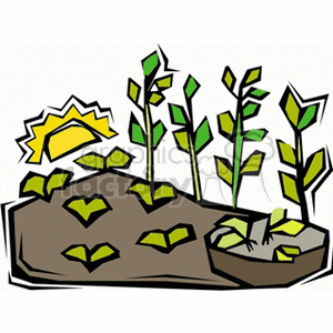Sprouting garden plants soaking up the sun clipart