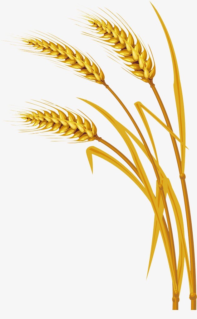 Crops clipart free.