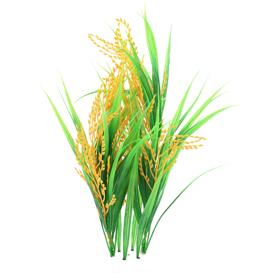 Crops clipart rice.