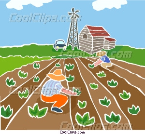 Farmers planting crops.