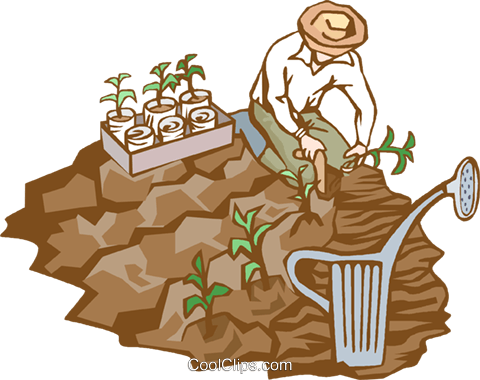 Planting a crop Royalty Free Vector Clip Art illustration