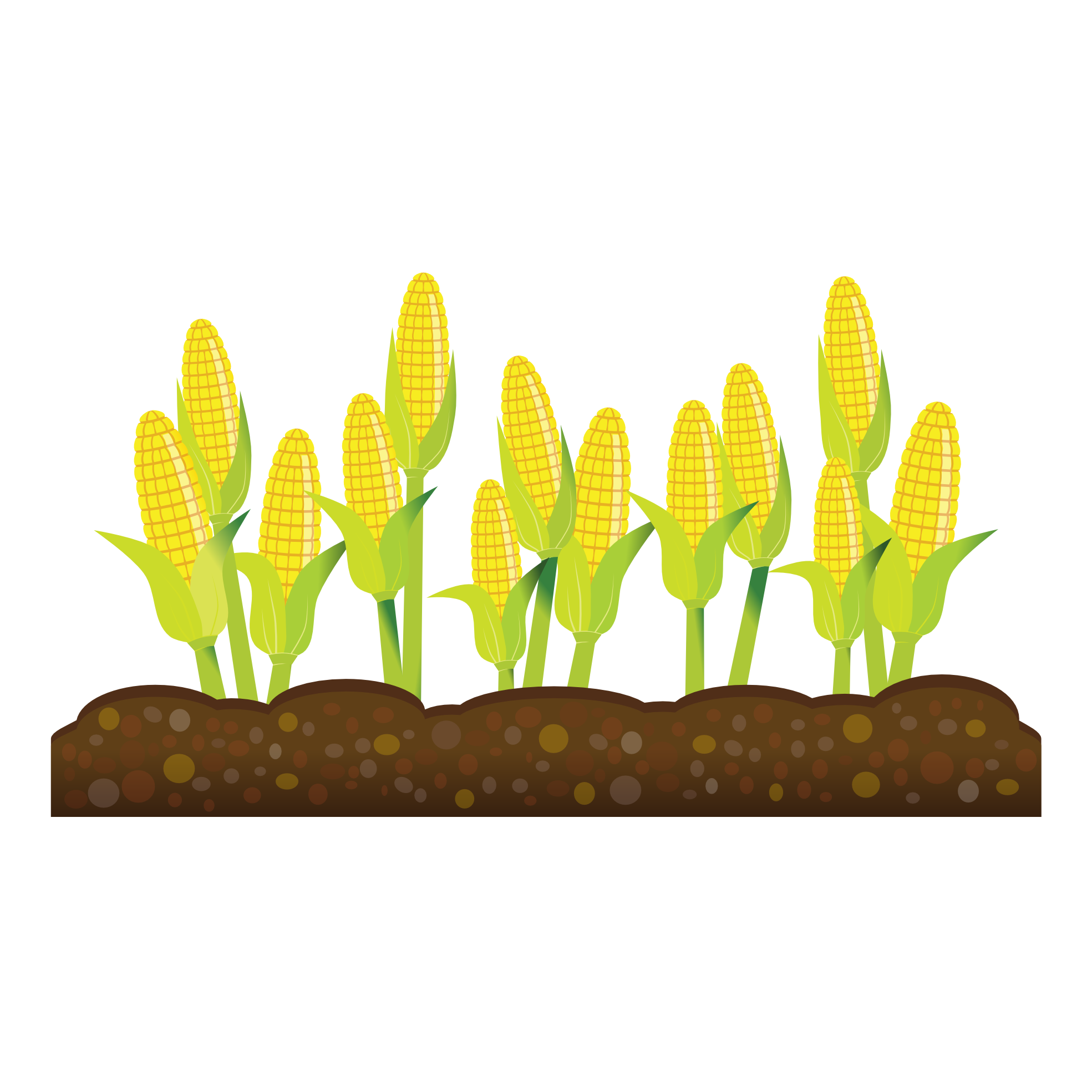 Free Growing Crops Cliparts, Download Free Clip Art, Free