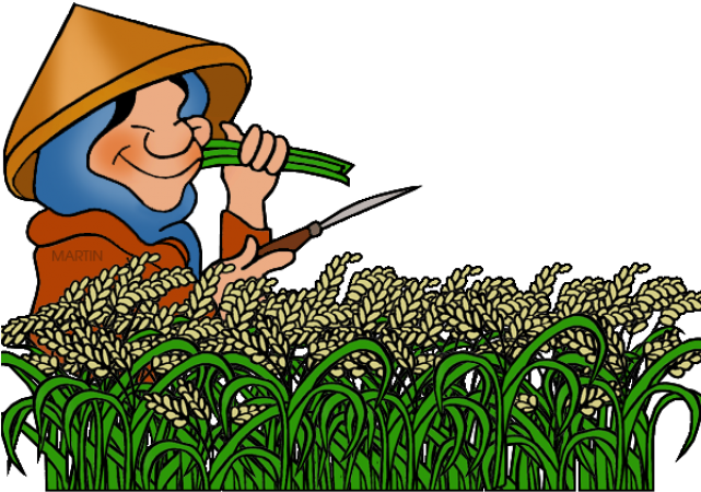 Rice clipart clipart.